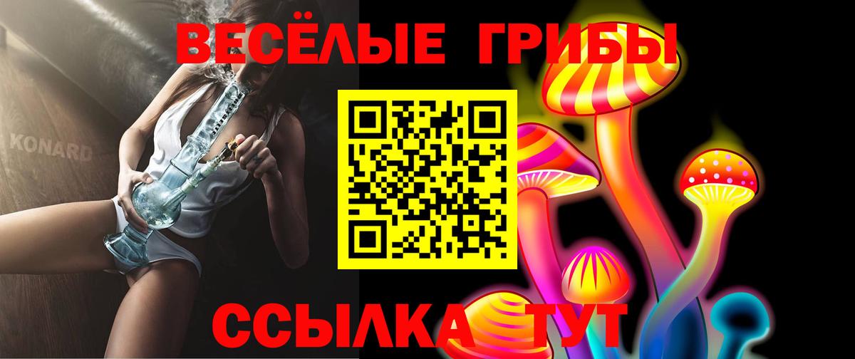 Галлюциногенные грибы Psilocybe  Вход с VPN  Псилоцибиновые грибы GOLDEN TEACHER  Рубцовск 